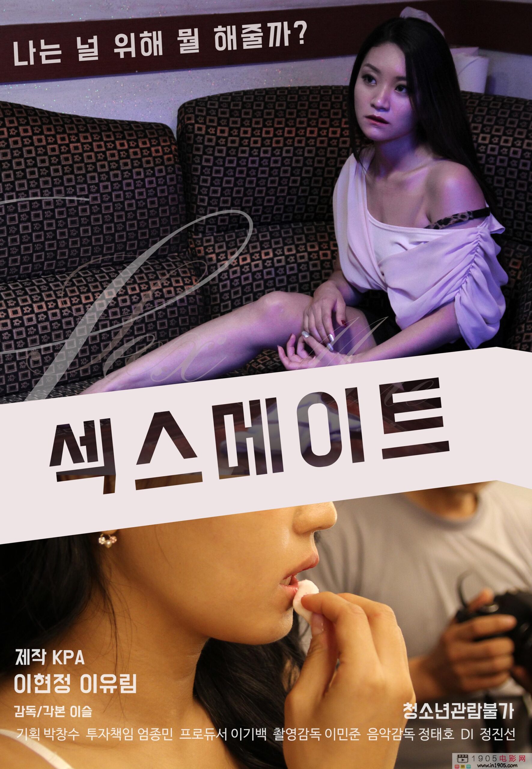 性伴侣/섹스메이트.2017[韩国限制级][中文字幕][BT磁力]