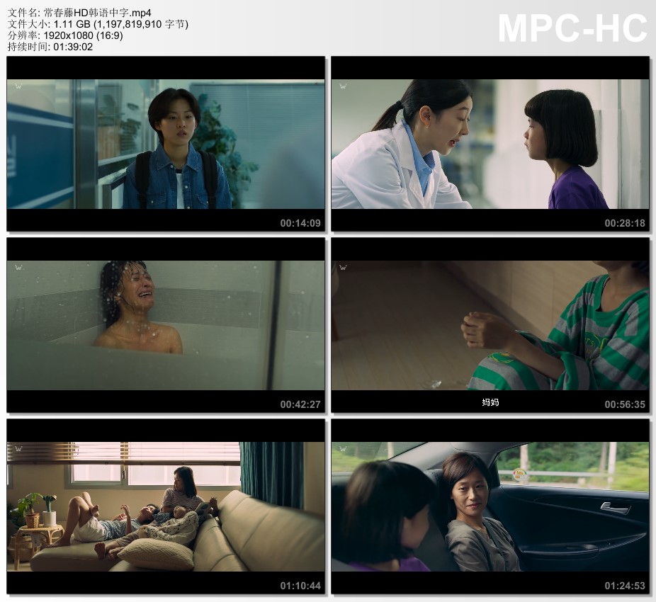 2020年韩国7.1分剧情片《常春藤》HD韩语中字的图片 第2张 2020年韩国7.1分剧情片《常春藤》HD韩语中字 第2张